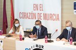 Congreso Retina Murcia 2021