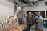 221005 Museo Anatómico Veterinario